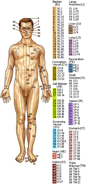 Acupressre Body Chart